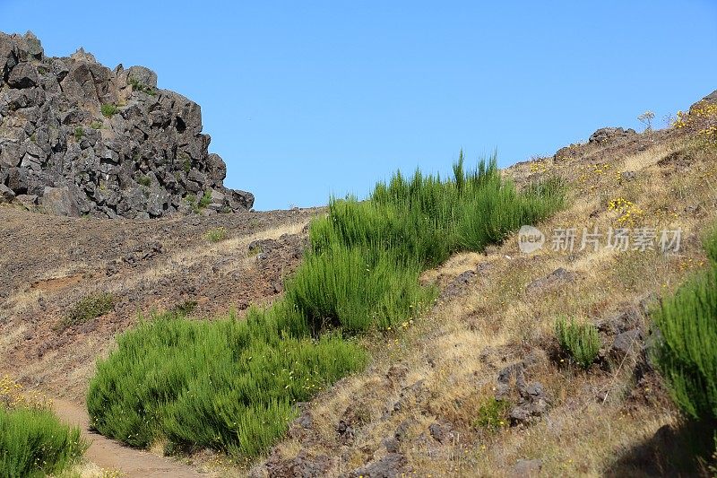 Pico do Areeiro 1818米山区-马德里